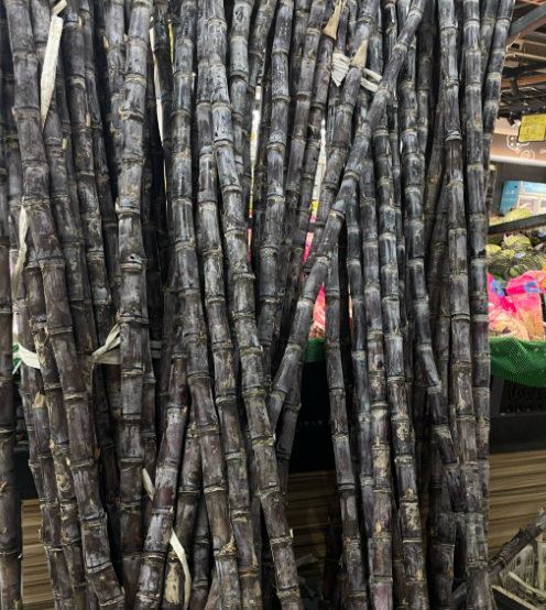 这项不起眼的小生意，收入比上班乐观喔